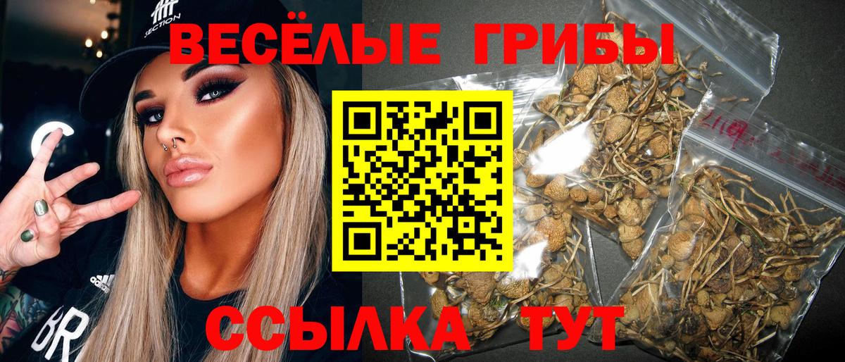 Галлюциногенные грибы мухоморы  Вход с VPN  Борзя 